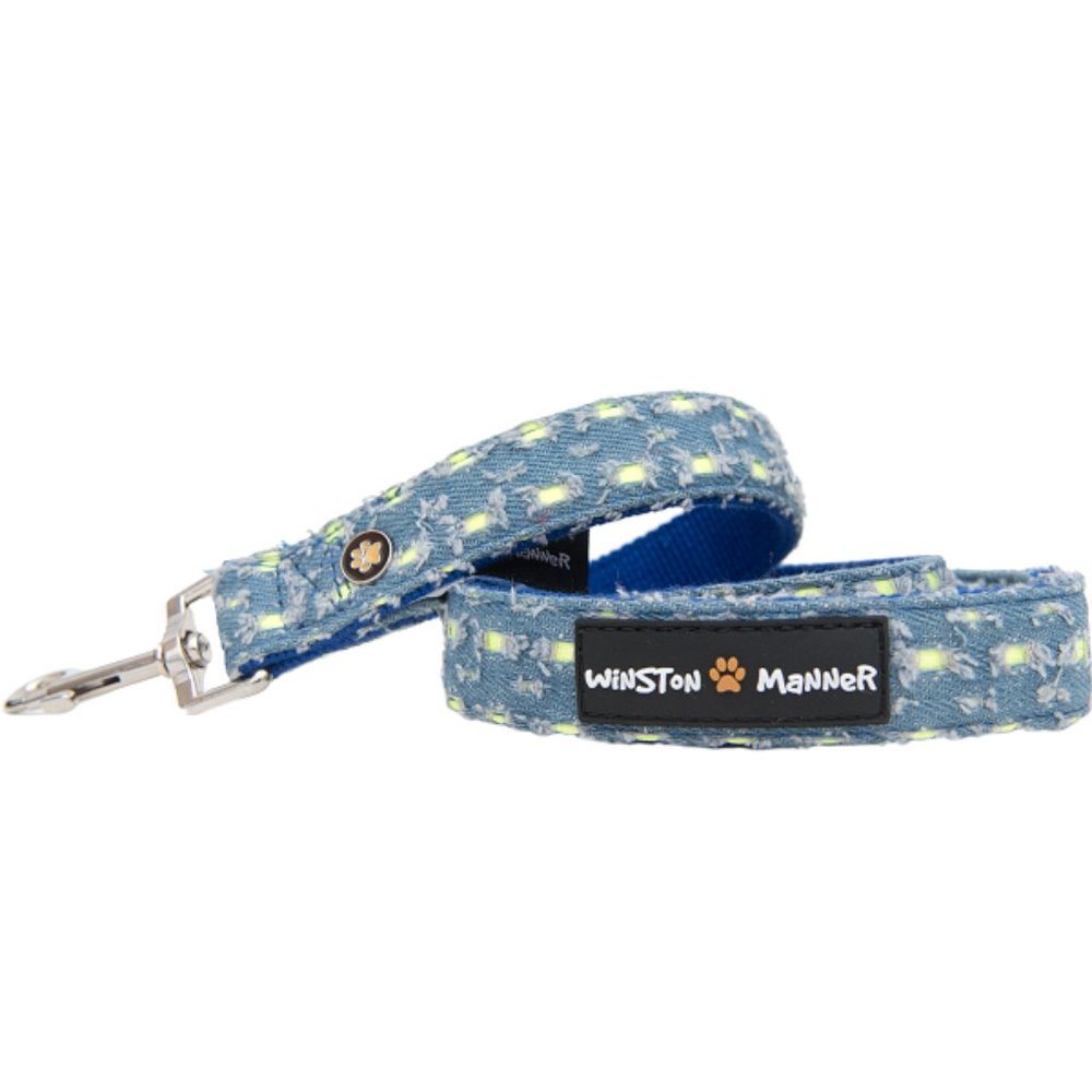 Winston Manner Designer Dog Leash in Far Out